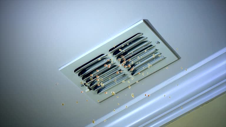 Best Emergency Air Duct Cleaning  in Shelbina, MO